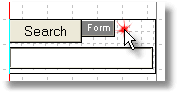 The finished search FORM